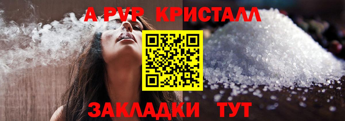 Alfa_PVP СК Елец
