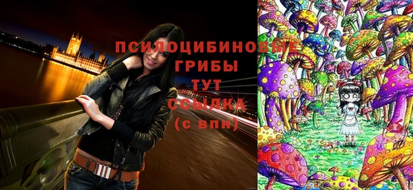 крисы Медногорск