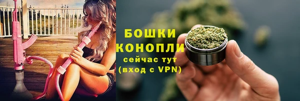 крисы Медногорск