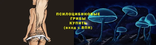 крисы Медногорск