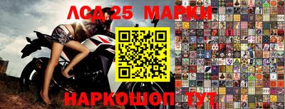 стаф Будённовск