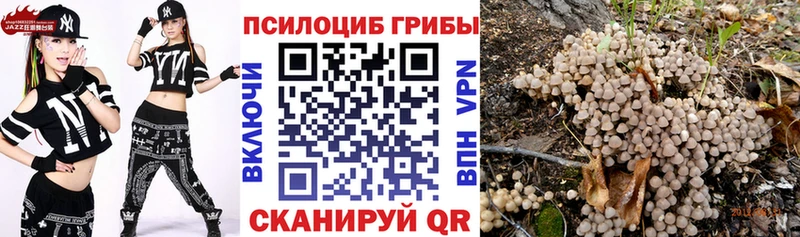 сайты даркнета формула  Елец  Галлюциногенные грибы прущие грибы 