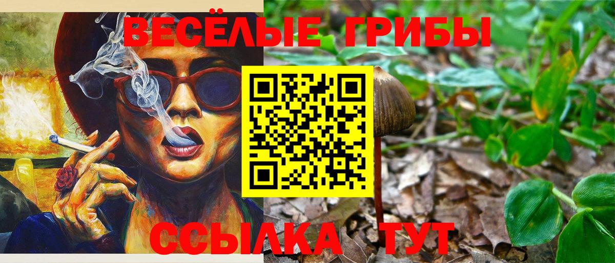 Галлюциногенные грибы мухоморы  Вход с VPN  купить наркотики сайты  Елец 