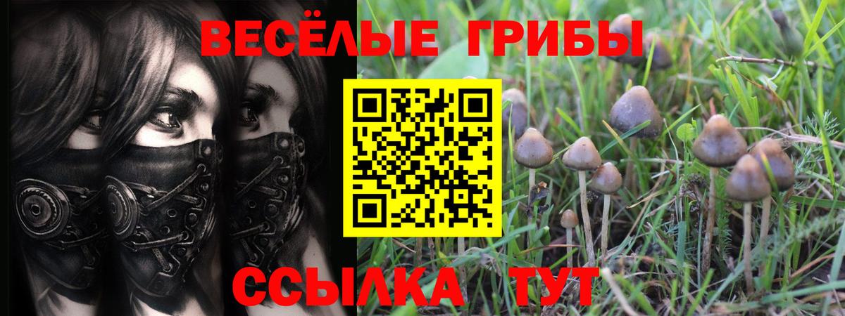 Галлюциногенные грибы Magic Shrooms Елец